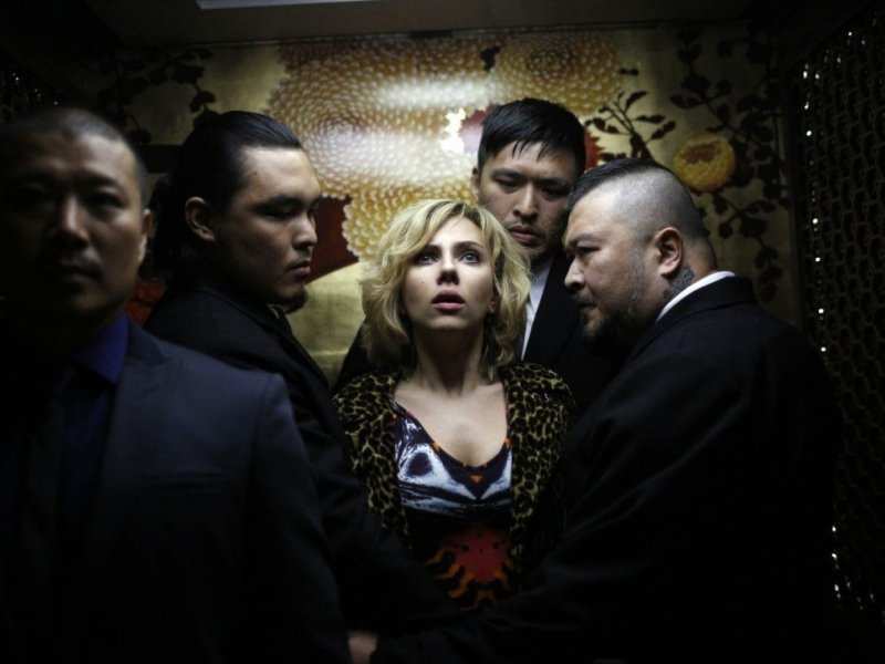 �������� � ������ "����" 2014