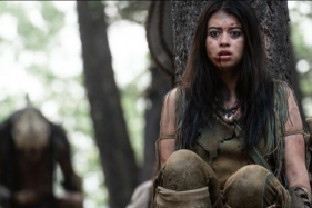 ������� �������� ��������� ����� ���������� ������ �� ������������� ������ � ��������� ��������������