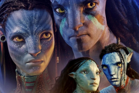 ������ ����� �� �������� 2� ������� �������� ���� ����: ������� ������� �� ���� ����� ���