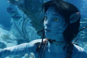 ����� ���� ������ ������� ������� 3� � ��������� ����� 10� �������