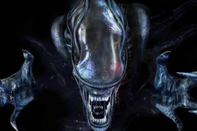 ������ ������ ������� �������� ����������