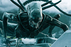 ����� ������ ��� ����� ������ ������ � 2025 ����