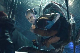 ������ ����� ���� ��������: ������ ����������� ��������� ����: ���� ����� ������