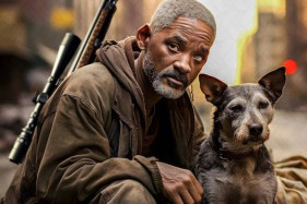 ���������� ���� ������: ���������� �� ������ '� - ������� 2' ����� ������������ �������