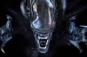 "�����" 2025 ����: ����������� � ������ �������� ����������� ������ ������� 