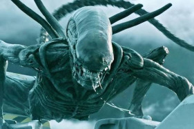 ������ ������ ������� ������ ���������, �������� ��������� � 2025 ����