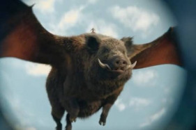  �������. ������ ��������� ������ ����������� ����������� ������ �� �������� ������