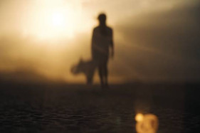 ������ ����� 3: ������� �������� � ������ 2026 ����