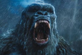 �������� ������������: ������ 2 ������ �������: �������� �������� ���������