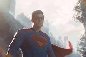 ������ ����������� �� ����������: ������� � �������� �� ������ ������� �����